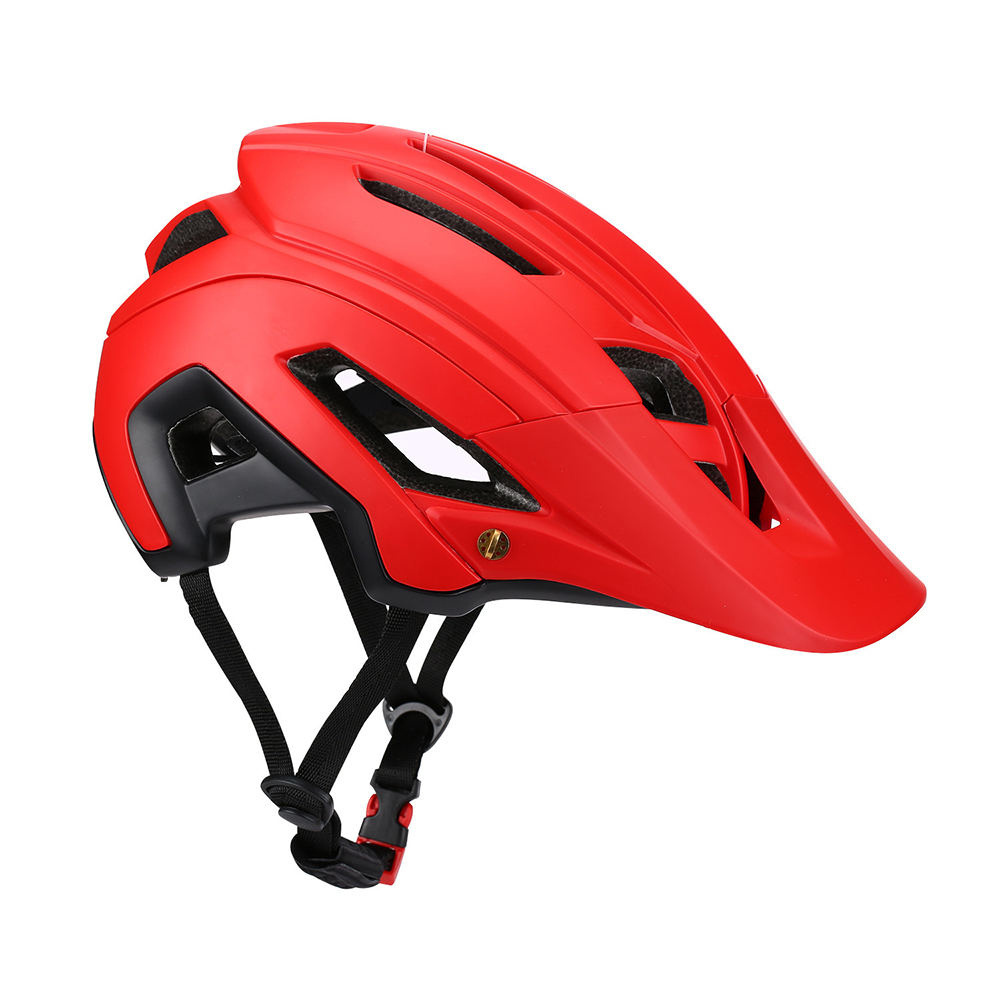 Helm Sepeda Gunung MTB Cetakan - Mountain Biking Xc ulasan dan harga